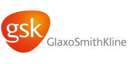 GSK-1 GSK-1