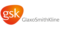 GSK-1